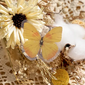 40 Kom. Set Naljepnica za insekte-leptira Kawaii PET Prozirne Vodootporan Ukrasne Naljepnice za album za albume Diy Crafts